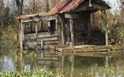 Abandoned Shed in the Everglades Sells for $700K, Cash, Sight Unseen