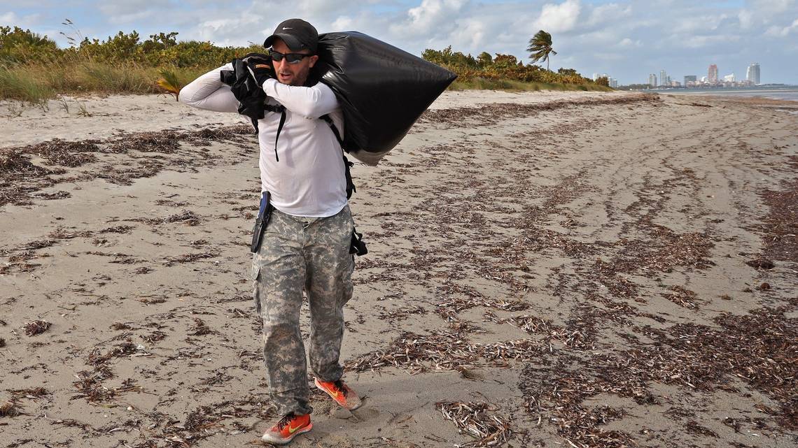 Miami's mangroves