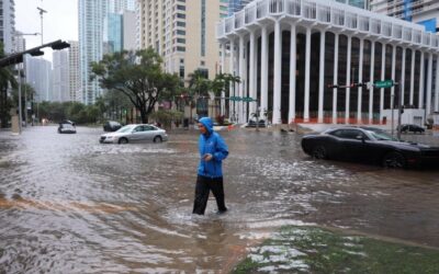 Miamian Standing in Knee-Deep Seawater Unconvinced Climate Change is Real